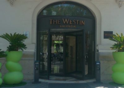 Puerta principal hotel